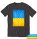 Coat of arms and flag of Ukraine, t-shirt, Graphite, XS