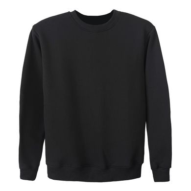 Світшот теплий на флісі (чорний) sweatshirt_base_flis фото